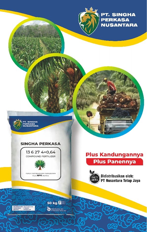 WhatsApp Image 2024-11-16 at 12.00.00 PM (1)