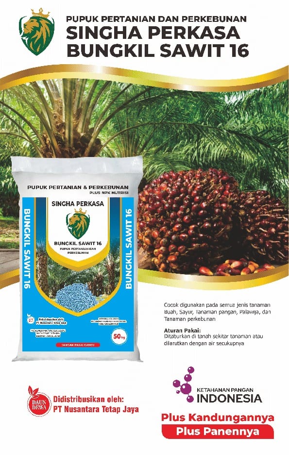 WhatsApp Image 2024-11-16 at 12.00.00 PM (2)