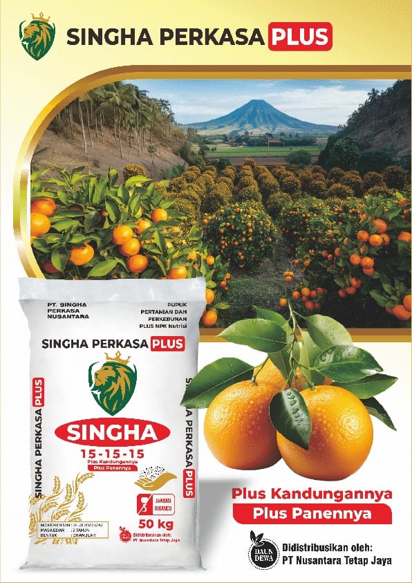 WhatsApp Image 2024-11-16 at 12.00.00 PM