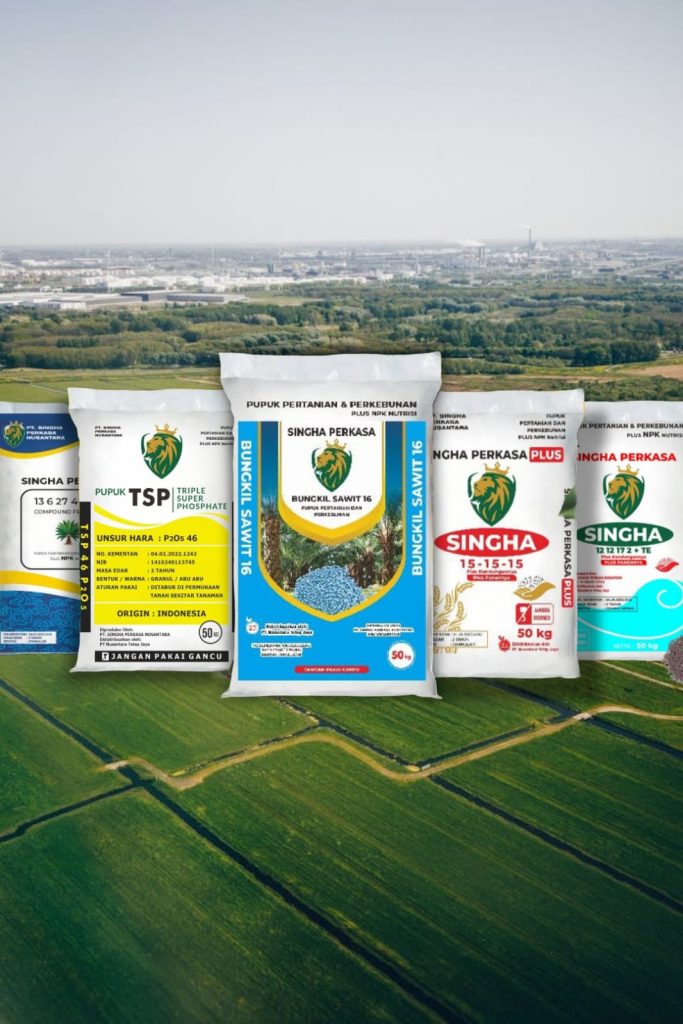 WhatsApp Image 2024-11-22 at 10.33.59 PM